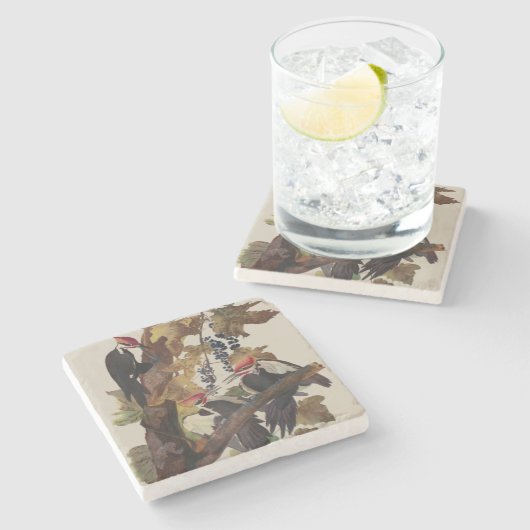 Audubon gepileerde specht vogelschilderij stenen onderzetter (Zijkant)