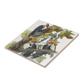 Audubon gepileerde specht vogelschilderij tegeltje (Zijkant)