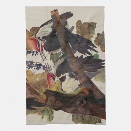 Audubon gepileerde specht vogelschilderij theedoek (Verticaal)