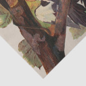 Audubon gepileerde specht vogelschilderij tissuepapier (Detail)