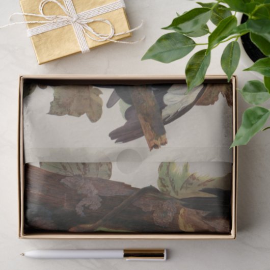 Audubon gepileerde specht vogelschilderij tissuepapier (Geschenk)