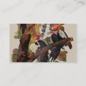 Audubon gepileerde specht vogelschilderij visitekaartje (Achterkant)