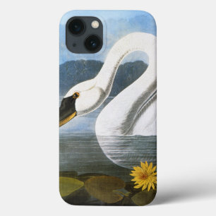 Audubon: Gewone Zwaan Case-Mate iPhone Case