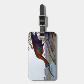 Audubon: Glossy Ibis Bagagelabel (Voorkant verticaal)