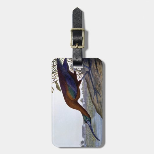 Audubon: Glossy Ibis Bagagelabel (Voorkant verticaal)