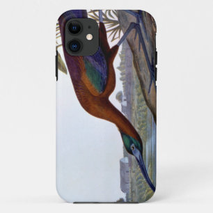 Audubon: Glossy Ibis Case-Mate iPhone Case