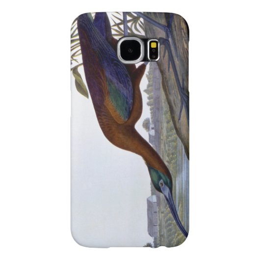 Audubon: Glossy Ibis Case-Mate Samsung Galaxy Hoesje (Achterkant)
