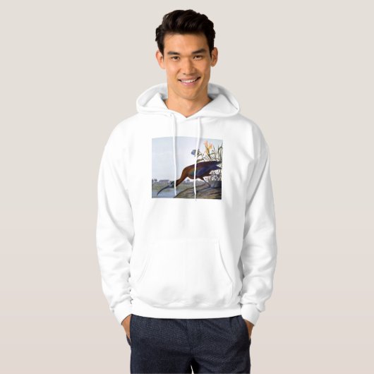 Audubon: Glossy Ibis Hoodie (Voorkant volledig)