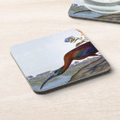 Audubon: Glossy Ibis Onderzetter (Linkerzijde)