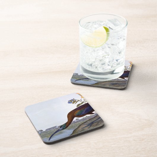 Audubon: Glossy Ibis Onderzetter (Rechterzijde)