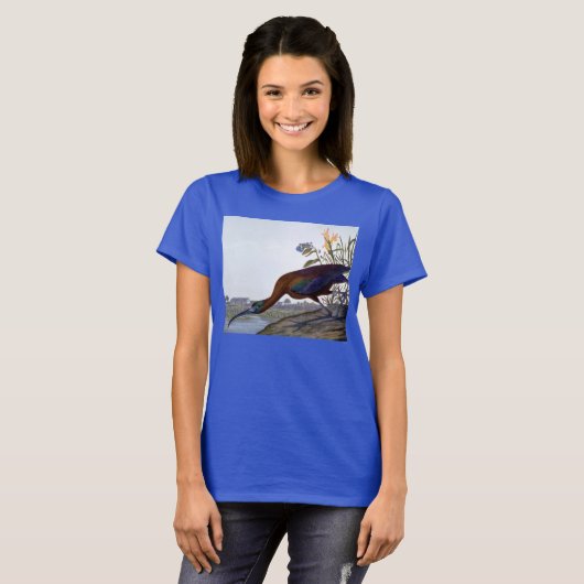 Audubon: Glossy Ibis T-shirt (Voorkant volledig)