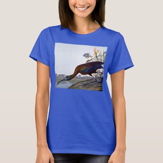 Audubon: Glossy Ibis T-shirt (Voorkant)