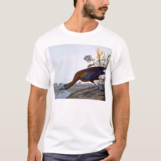 Audubon: Glossy Ibis T-shirt (Voorkant)