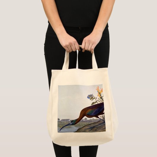 Audubon: Glossy Ibis Tote Bag (Voorkant (product))