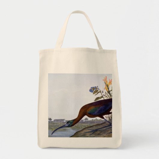 Audubon: Glossy Ibis Tote Bag (Voorkant)