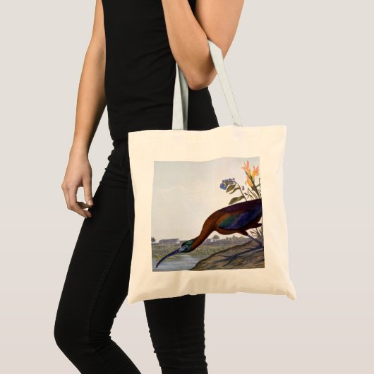 Audubon: Glossy Ibis Tote Bag (Voorkant (product))