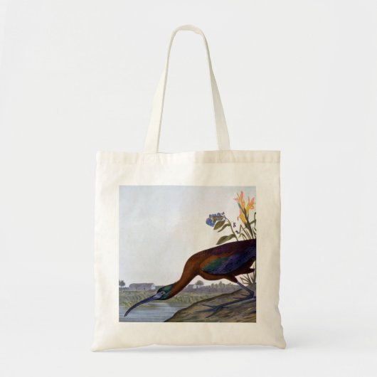 Audubon: Glossy Ibis Tote Bag (Voorkant)