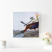 Audubon: Glossy Ibis Vierkante Klok (Huis)