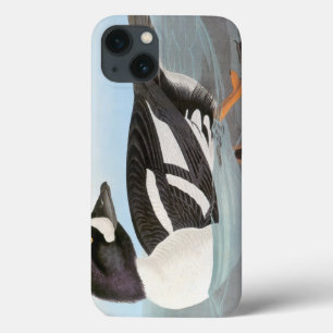 Audubon: Goldeneye van de kruiwagen Case-Mate iPhone Case