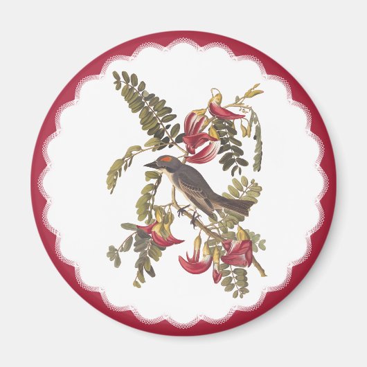 Audubon Gray Tyrant Bird Bookplate Art Magneet (Voorkant)