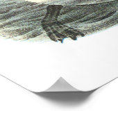 Audubon Great Auk Poster (Hoek)