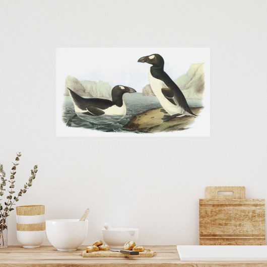 Audubon Great Auk Poster (Keuken)