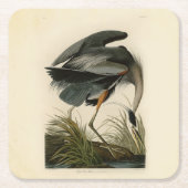 Audubon Great Blue Heron Marsh Bird Kartonnen Onderzetters (Voorkant)