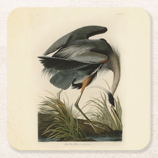 Audubon Great Blue Heron Marsh Bird Kartonnen Onderzetters (Voorkant)