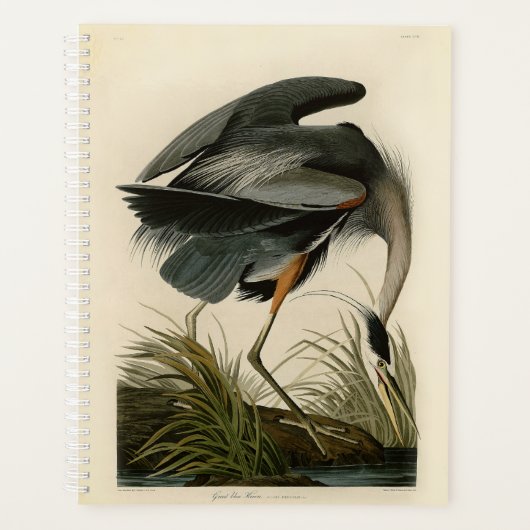 Audubon Great Blue Heron Marsh Bird Planner (Voorkant)