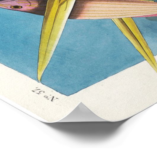 Audubon Great White Heron Poster (Hoek)