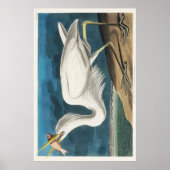 Audubon Great White Heron Poster (Voorkant)