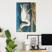 Audubon Great White Heron Poster (Thuiskantoor)