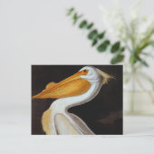 Audubon: Great White Pelican Briefkaart (Staand voorkant)