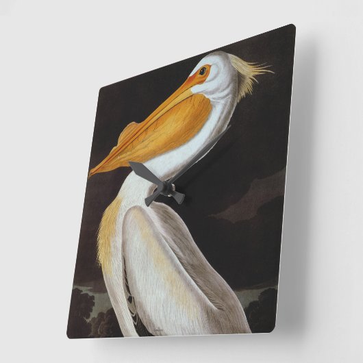Audubon: Great White Pelican Vierkante Klok (Hoek)