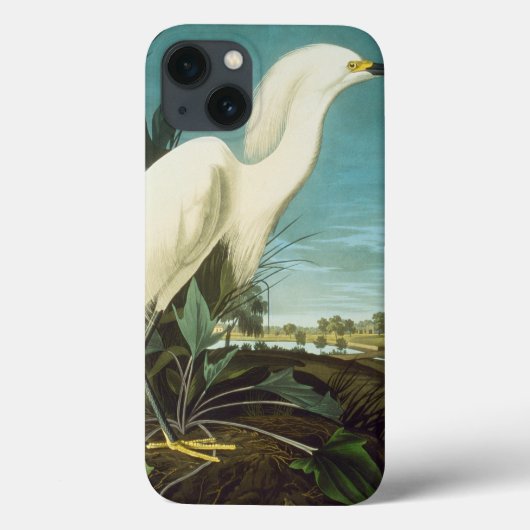 Audubon: gret Case-Mate iPhone case (Achterkant)