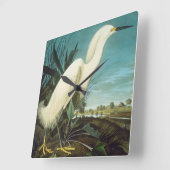 Audubon: gret vierkante klok (Hoek)