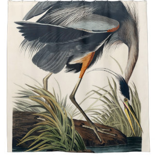 Audubon Grote Blauwe Heron 1834 Bord CCXI Douchegordijn