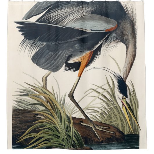 Audubon Grote Blauwe Heron 1834 Bord CCXI Douchegordijn (Voorkant)