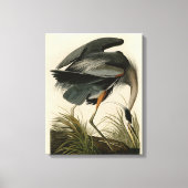 Audubon Grote Blauwe Heron moerasvogel Canvas Afdruk (Voorkant)