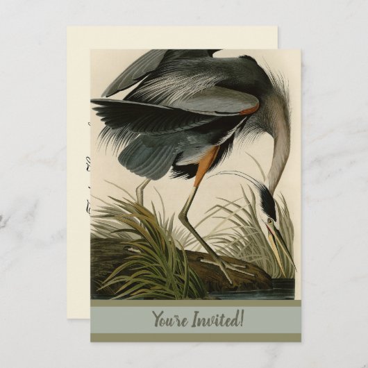 Audubon Grote Blauwe Heron moerasvogel Kaart (Voorkant / Achterkant)