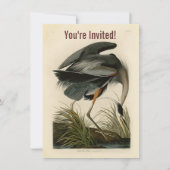 Audubon Grote Blauwe Heron moerasvogel Kaart (Voorkant)