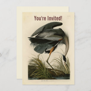 Audubon Grote Blauwe Heron moerasvogel Kaart