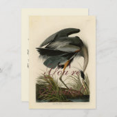Audubon Grote Blauwe Heron moerasvogel Kaart (Voorkant / Achterkant)