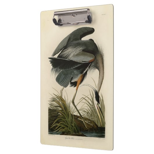 Audubon Grote Blauwe Heron moerasvogel Klembord (Links)
