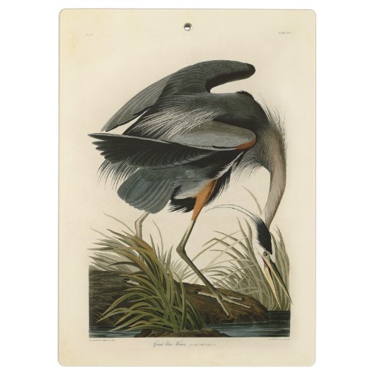 Audubon Grote Blauwe Heron moerasvogel Klembord (Achterkant)