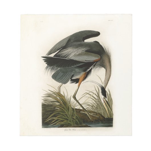 Audubon Grote Blauwe Heron moerasvogel Notitieblok (Voorkant)