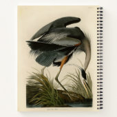 Audubon Grote Blauwe Heron moerasvogel Notitieboek (Achterkant)