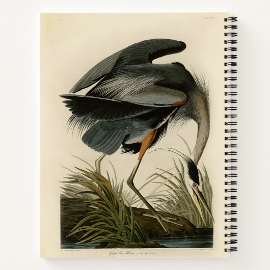 Audubon Grote Blauwe Heron moerasvogel Notitieboek (Achterkant)