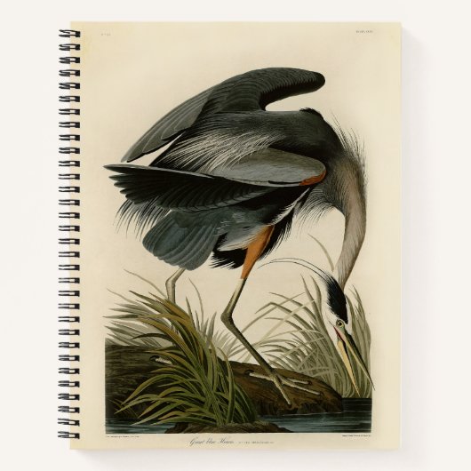 Audubon Grote Blauwe Heron moerasvogel Notitieboek (Voorkant)