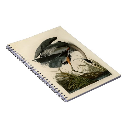 Audubon Grote Blauwe Heron moerasvogel Notitieboek (Rechterzijde)